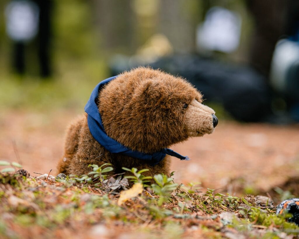 Partion syyskausi alkaa viikolla 35 - Lue lisää