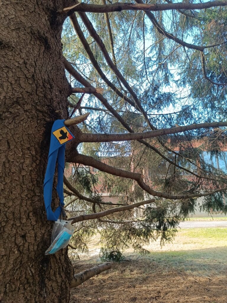 Huivinmetsästyksen kokonaistilanne - Lue lisää